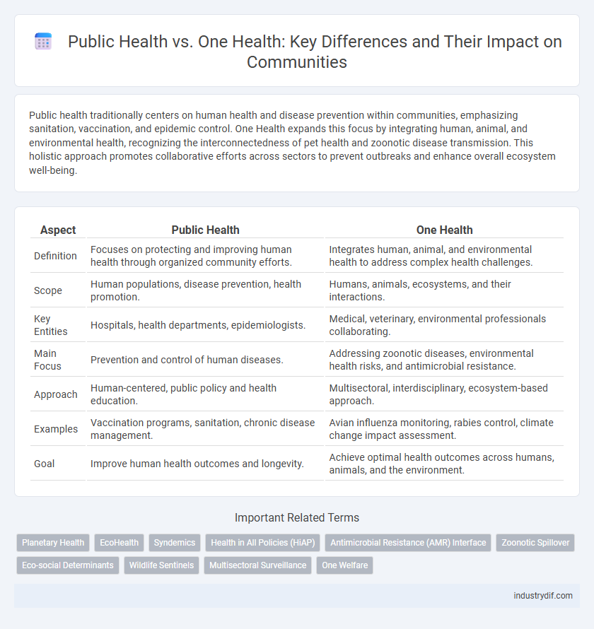 Public Health vs. One Health: Key Differences and Their Impact on Communities