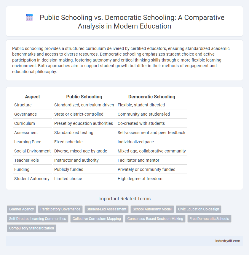 Public Schooling vs. Democratic Schooling: A Comparative Analysis in Modern Education