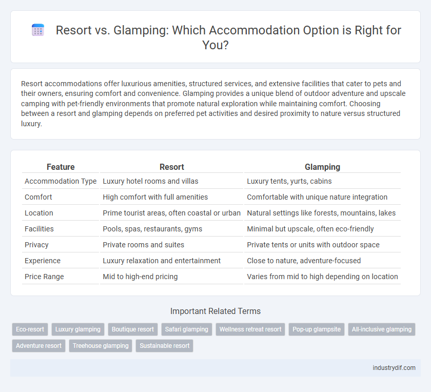 Resort vs. Glamping: Which Accommodation Option is Right for You?