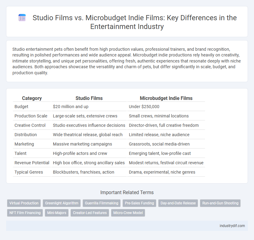 Studio Films vs. Microbudget Indie Films: Key Differences in the Entertainment Industry
