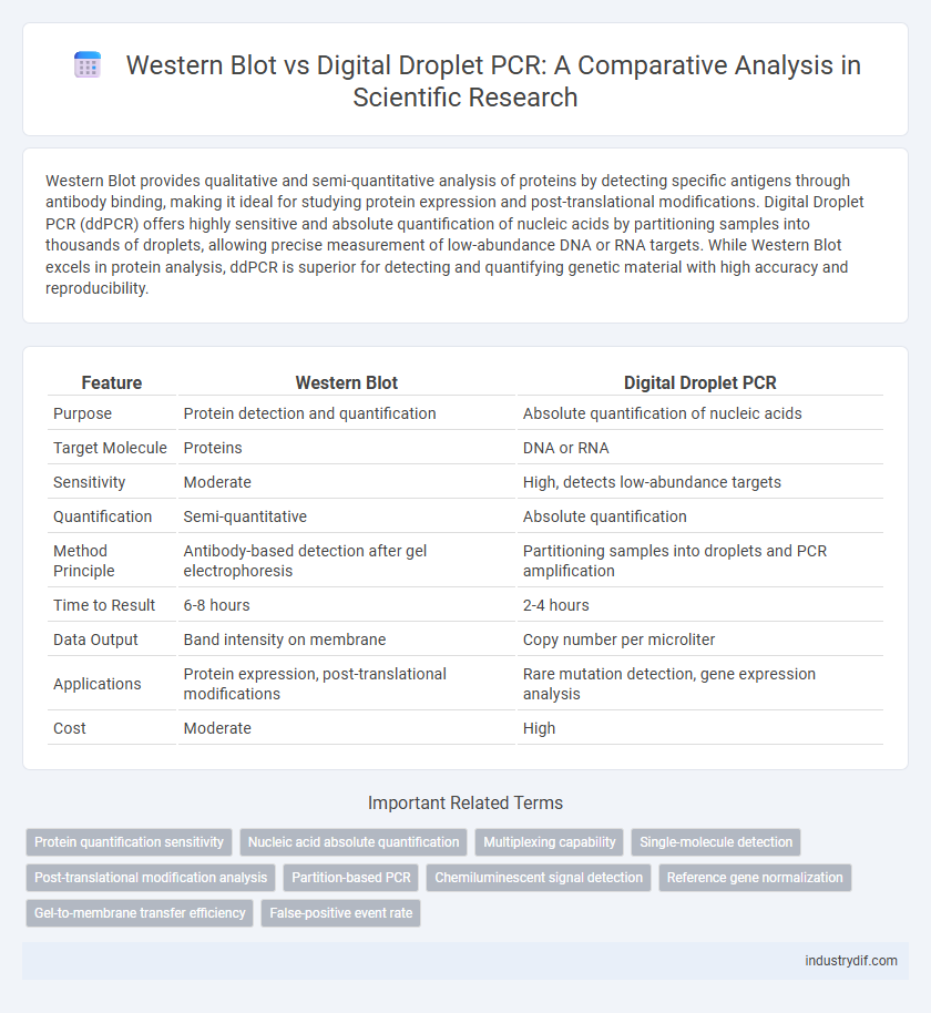 Western Blot vs Digital Droplet PCR: A Comparative Analysis in Scientific Research