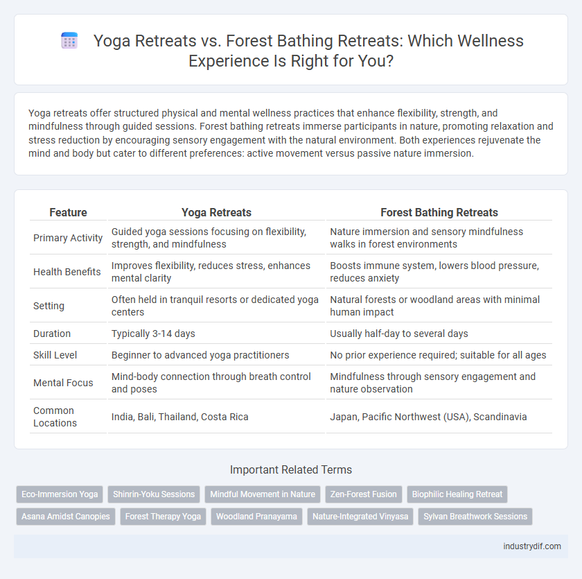 Yoga Retreats vs. Forest Bathing Retreats: Which Wellness Experience Is Right for You?