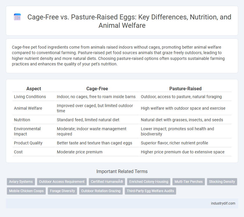 Cage-Free vs. Pasture-Raised Eggs: Key Differences, Nutrition, and Animal Welfare