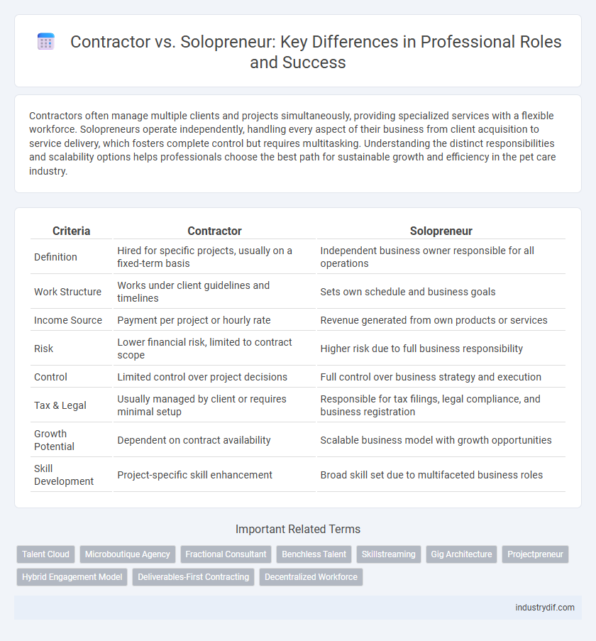 Contractor vs. Solopreneur: Key Differences in Professional Roles and Success