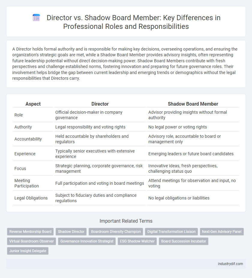 Director vs. Shadow Board Member: Key Differences in Professional Roles and Responsibilities