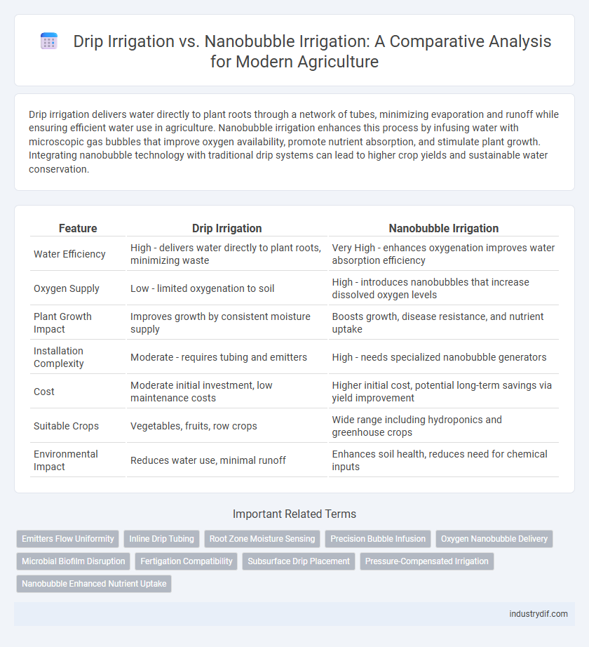 Drip Irrigation vs. Nanobubble Irrigation: A Comparative Analysis for Modern Agriculture
