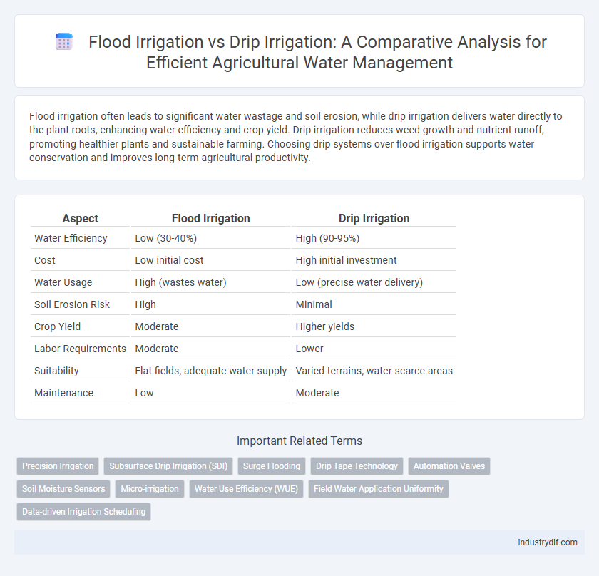 Flood Irrigation vs Drip Irrigation: A Comparative Analysis for Efficient Agricultural Water Management