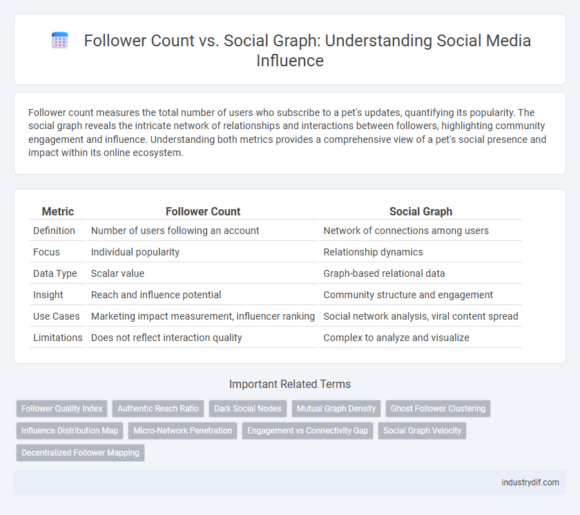 Follower Count vs. Social Graph: Understanding Social Media Influence