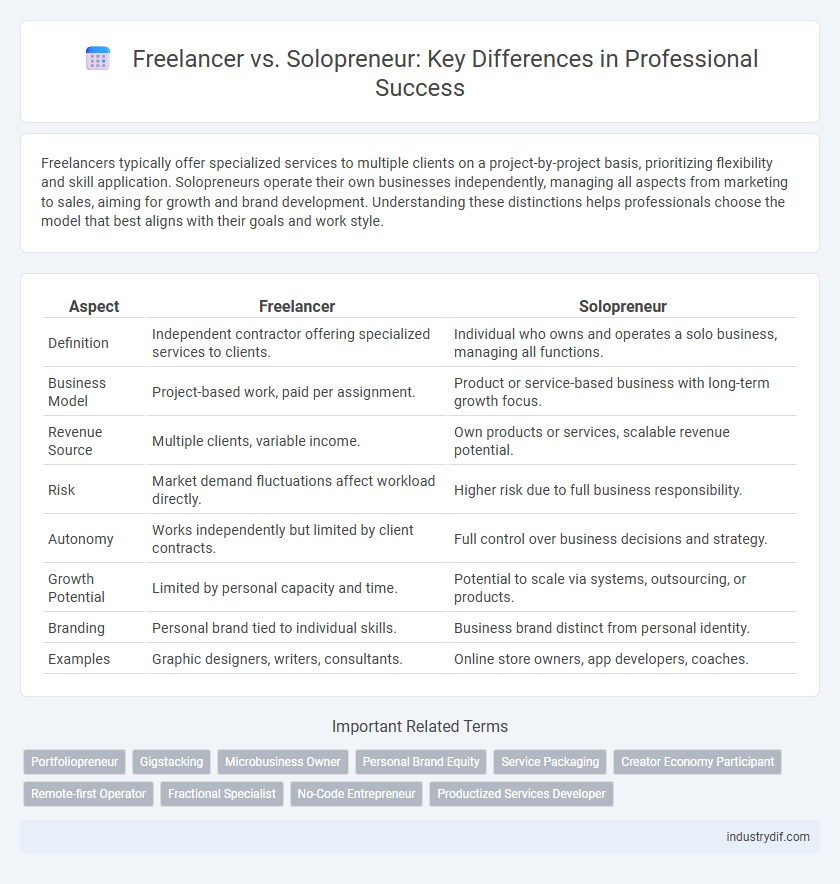 Freelancer vs. Solopreneur: Key Differences in Professional Success