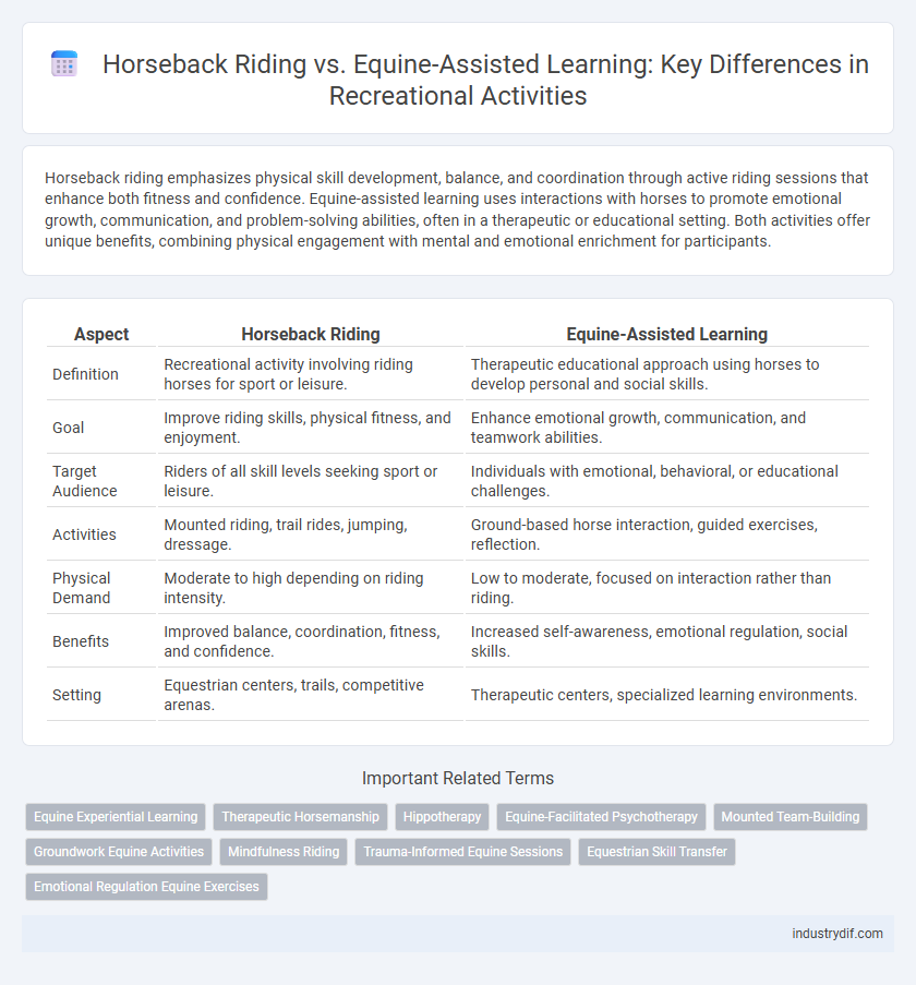 Horseback Riding vs. Equine-Assisted Learning: Key Differences in Recreational Activities