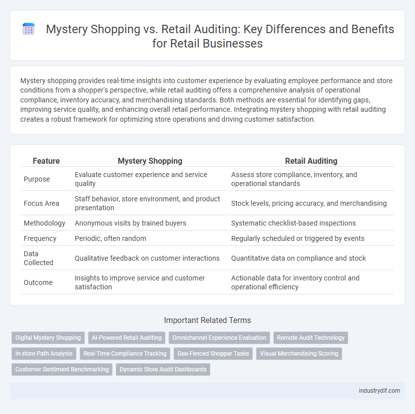Mystery Shopping vs. Retail Auditing: Key Differences and Benefits for Retail Businesses