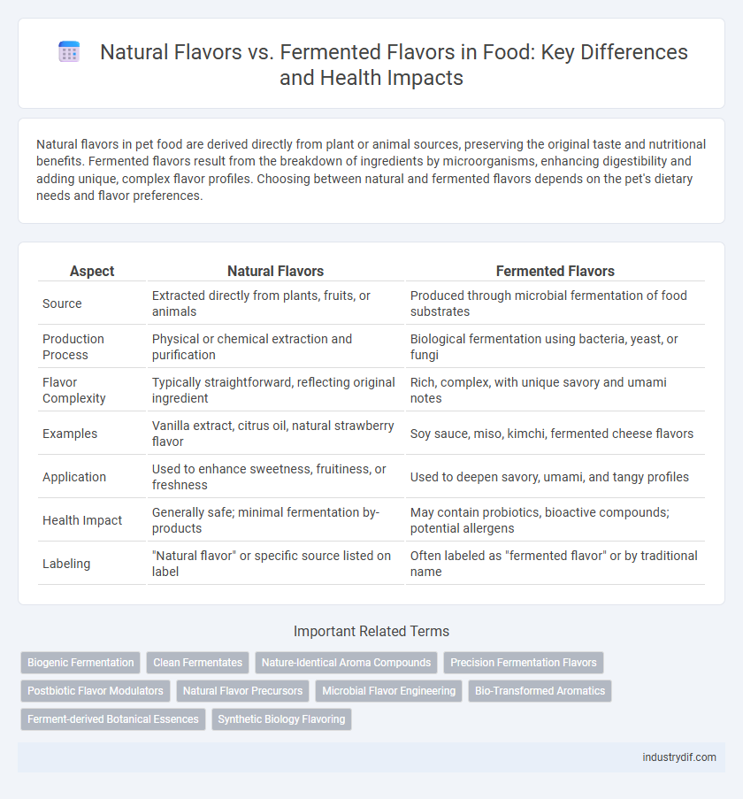 Natural Flavors vs. Fermented Flavors in Food: Key Differences and Health Impacts