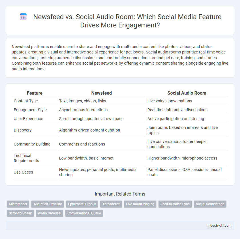 Newsfeed vs. Social Audio Room: Which Social Media Feature Drives More Engagement?