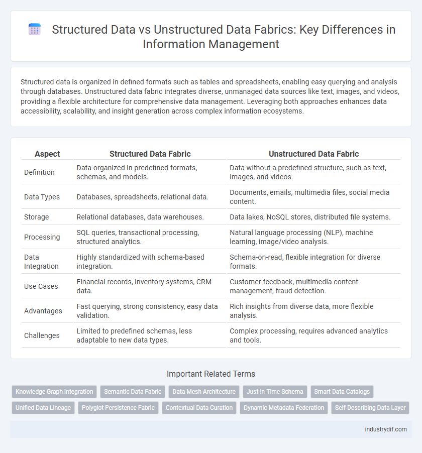 Structured Data vs Unstructured Data Fabrics: Key Differences in Information Management