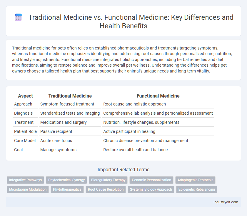 Traditional Medicine vs. Functional Medicine: Key Differences and Health Benefits