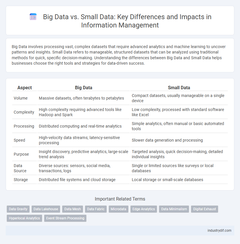 Big Data vs. Small Data: Key Differences and Impacts in Information Management