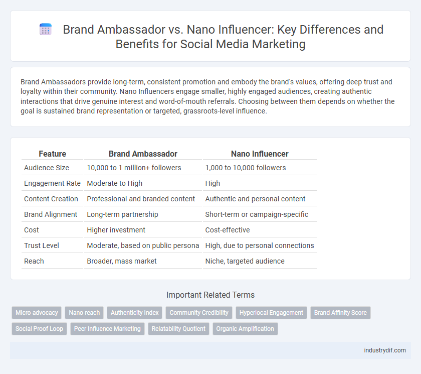 Brand Ambassador vs. Nano Influencer: Key Differences and Benefits for Social Media Marketing