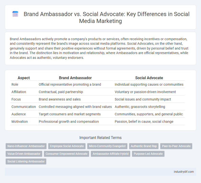 Brand Ambassador vs. Social Advocate: Key Differences in Social Media Marketing