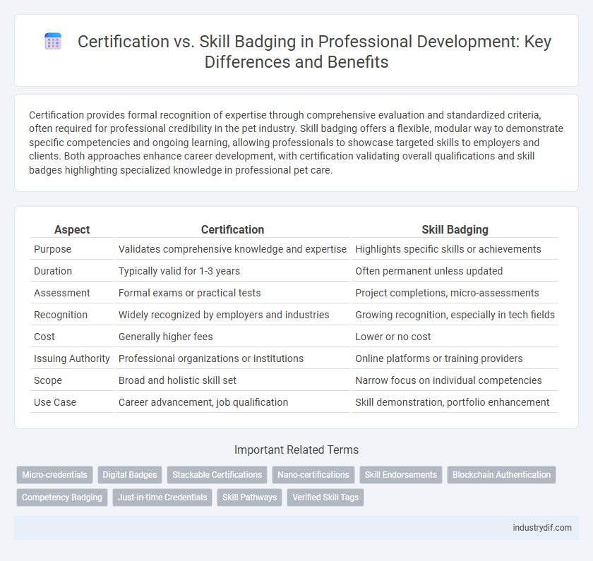 Certification vs. Skill Badging in Professional Development: Key Differences and Benefits
