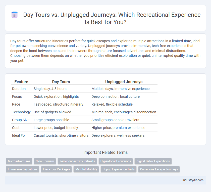 Day Tours vs. Unplugged Journeys: Which Recreational Experience Is Best for You?