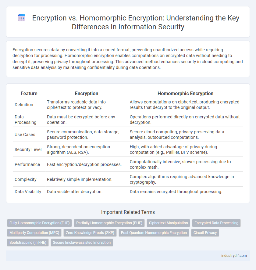 Encryption vs. Homomorphic Encryption: Understanding the Key Differences in Information Security
