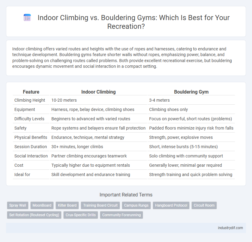 Indoor Climbing vs. Bouldering Gyms: Which Is Best for Your Recreation?