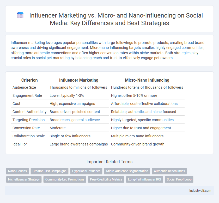 Influencer Marketing vs. Micro- and Nano-Influencing on Social Media: Key Differences and Best Strategies