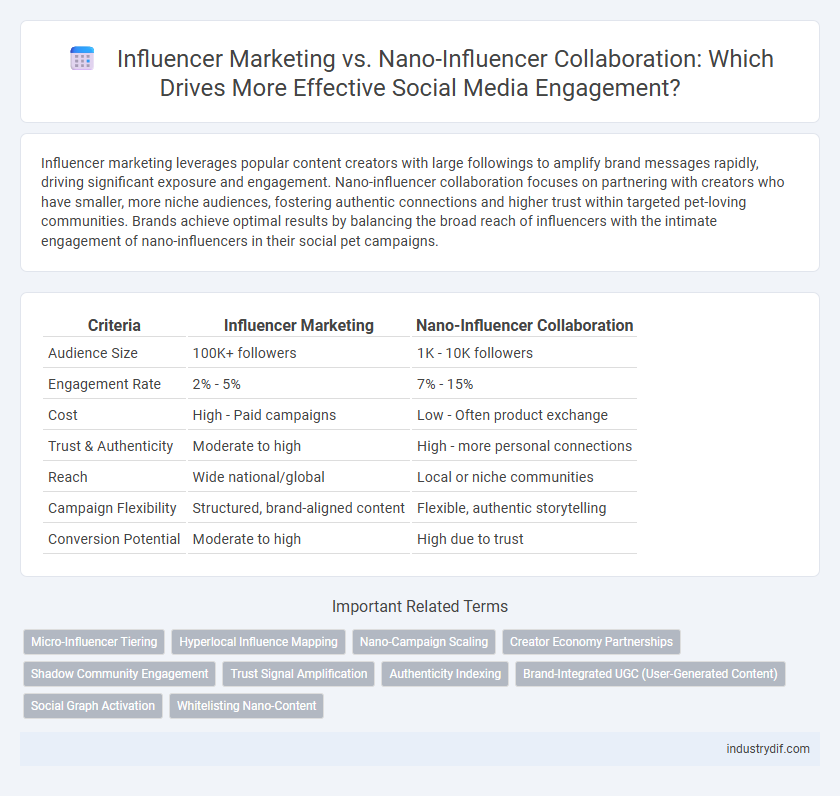 Influencer Marketing vs. Nano-Influencer Collaboration: Which Drives More Effective Social Media Engagement?