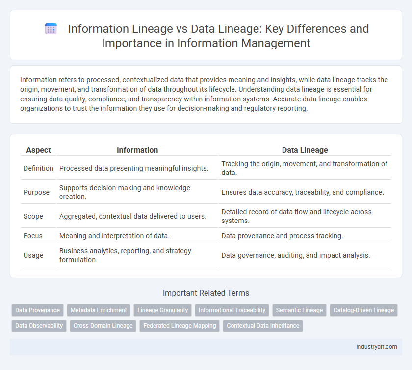 Information Lineage vs Data Lineage: Key Differences and Importance in Information Management