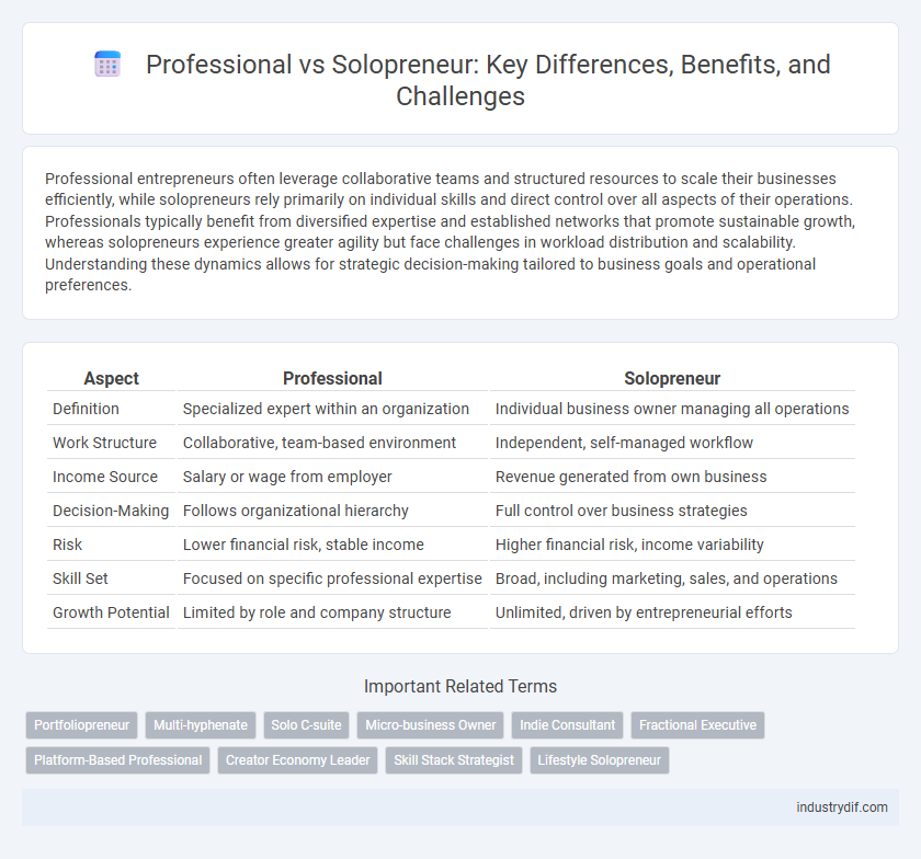 Professional vs Solopreneur: Key Differences, Benefits, and Challenges