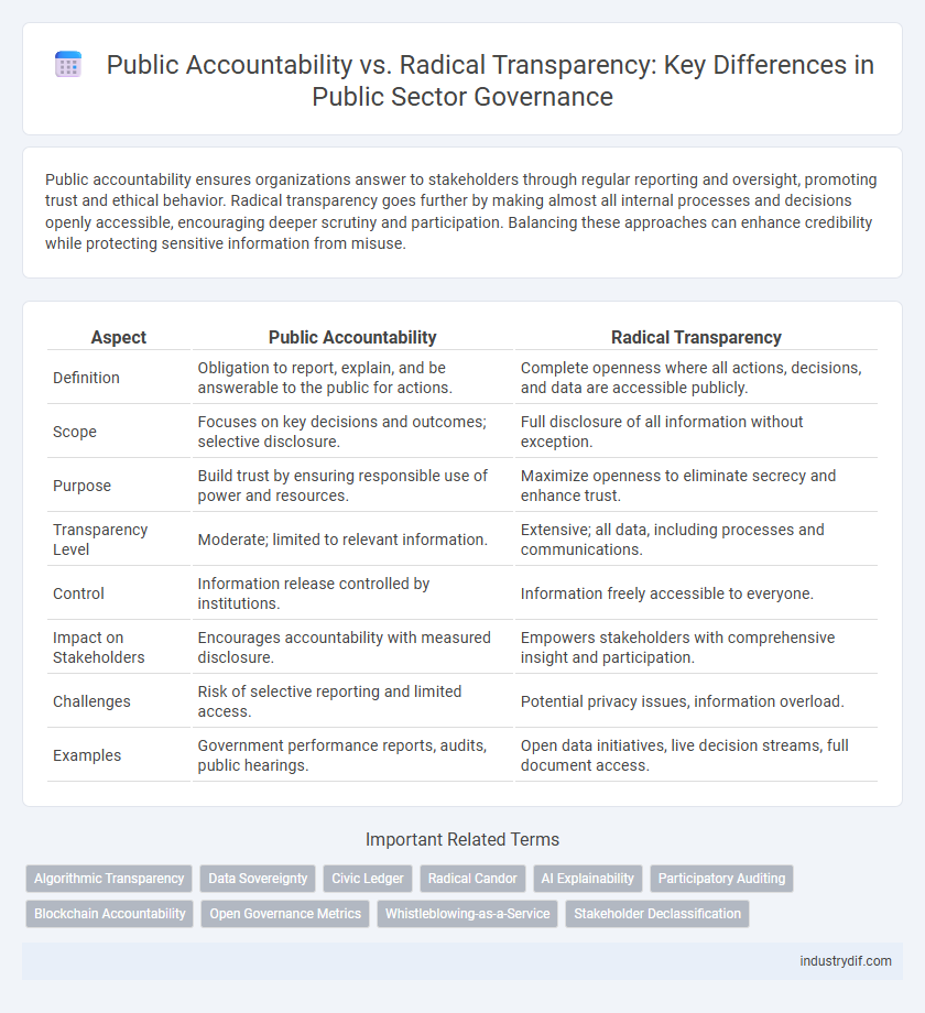 Public Accountability vs. Radical Transparency: Key Differences in Public Sector Governance