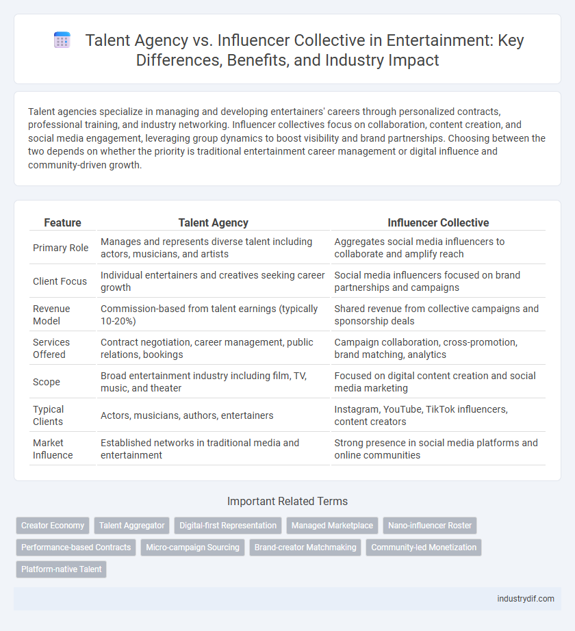 Talent Agency vs. Influencer Collective in Entertainment: Key Differences, Benefits, and Industry Impact