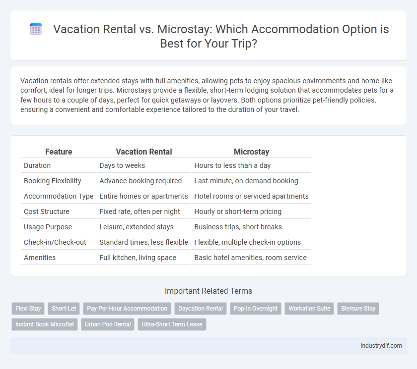 Vacation Rental vs. Microstay: Which Accommodation Option is Best for Your Trip?
