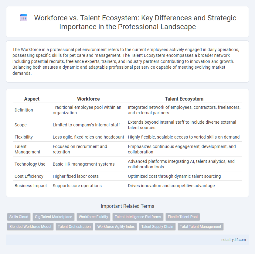 Workforce vs. Talent Ecosystem: Key Differences and Strategic Importance in the Professional Landscape