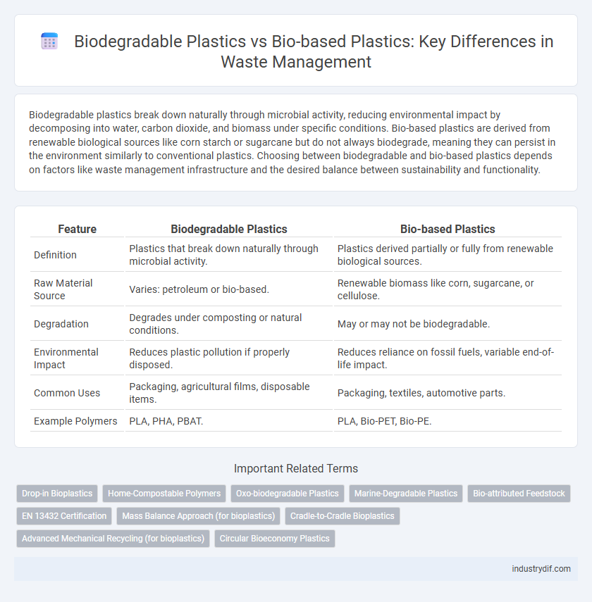 Biodegradable Plastics vs Bio-based Plastics: Key Differences in Waste Management