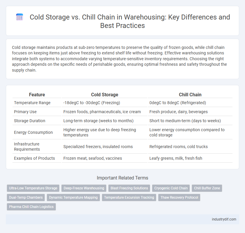 Cold Storage vs. Chill Chain in Warehousing: Key Differences and Best Practices
