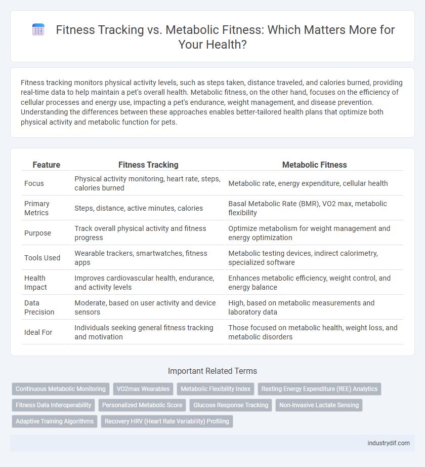 Fitness Tracking vs. Metabolic Fitness: Which Matters More for Your Health?