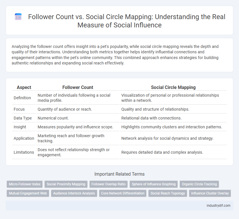Follower Count vs. Social Circle Mapping: Understanding the Real Measure of Social Influence