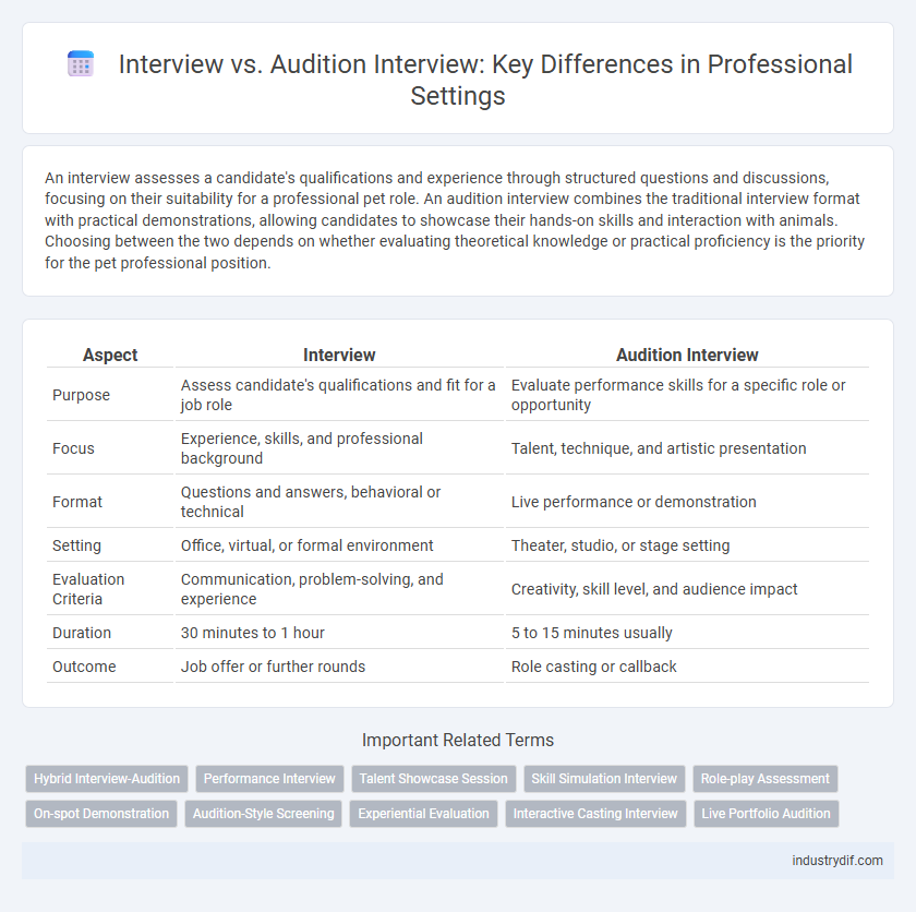 Interview vs. Audition Interview: Key Differences in Professional Settings