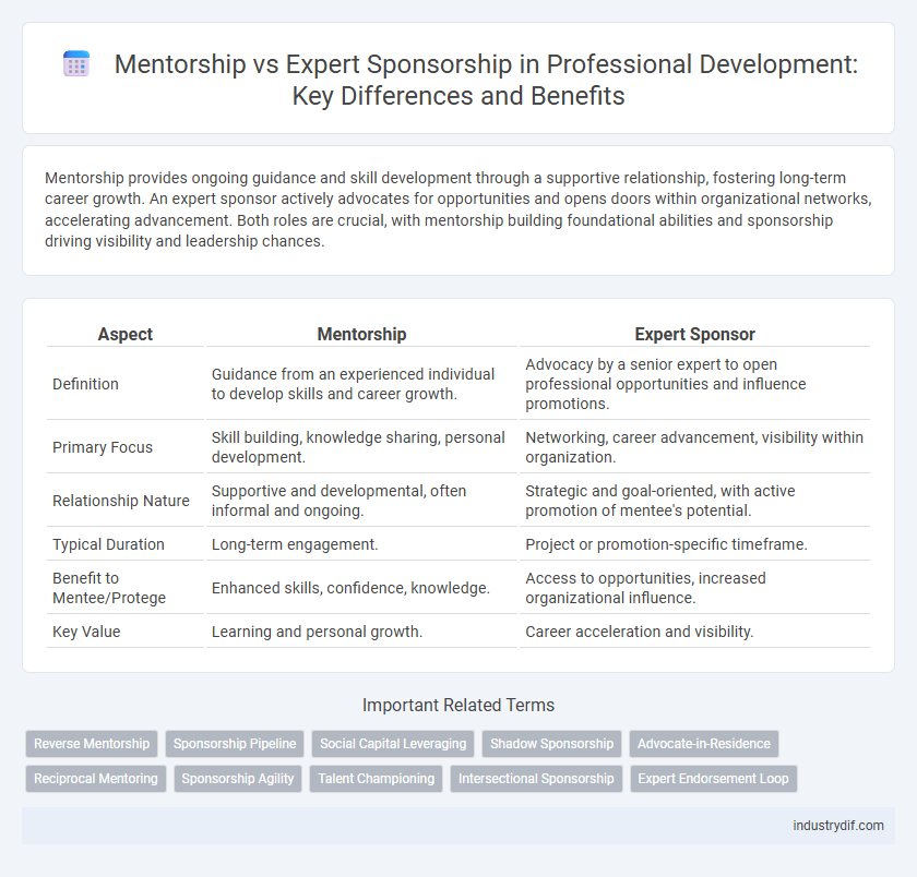 Mentorship vs Expert Sponsorship in Professional Development: Key Differences and Benefits