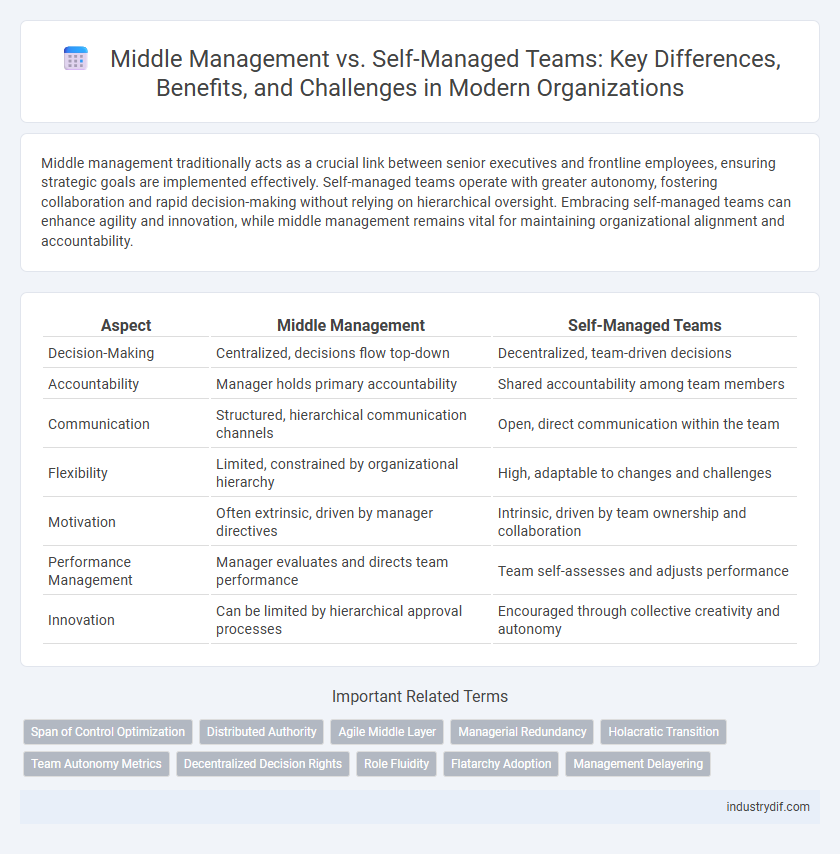 Middle Management vs. Self-Managed Teams: Key Differences, Benefits, and Challenges in Modern Organizations