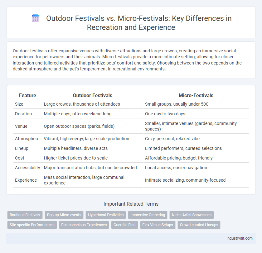 Outdoor Festivals vs. Micro-Festivals: Key Differences in Recreation and Experience