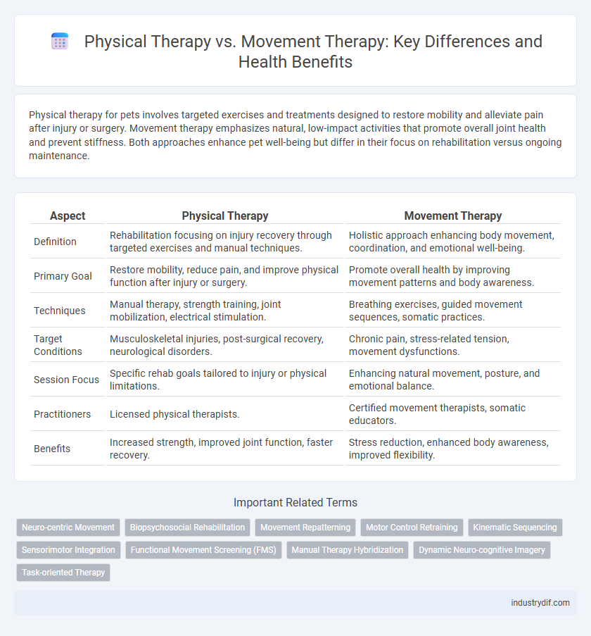 Physical Therapy vs. Movement Therapy: Key Differences and Health Benefits