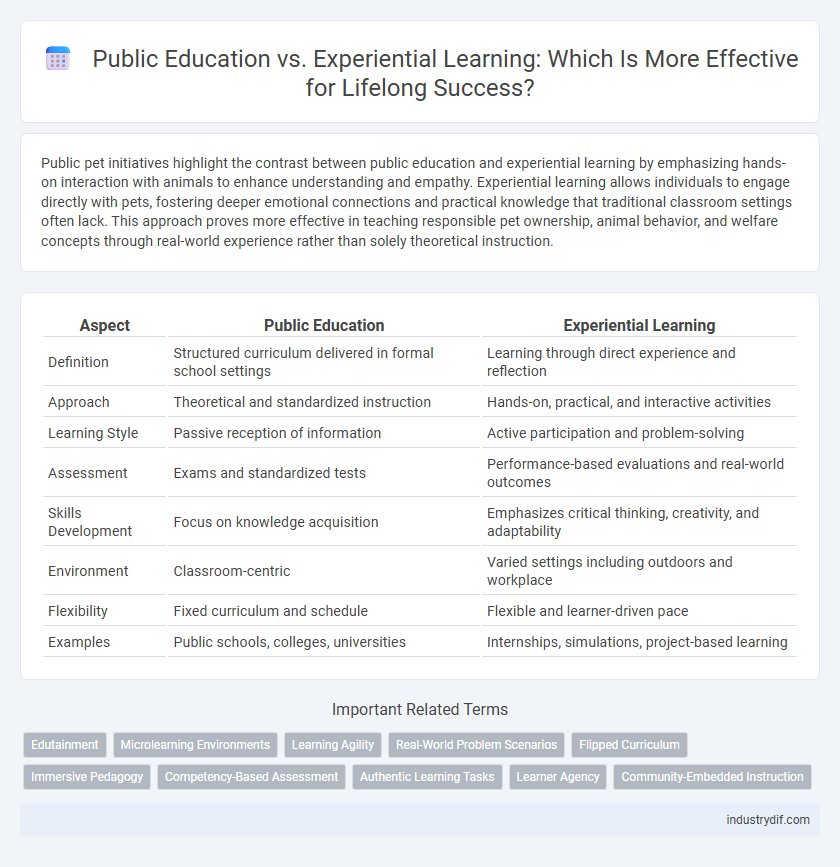 Public Education vs. Experiential Learning: Which Is More Effective for Lifelong Success?