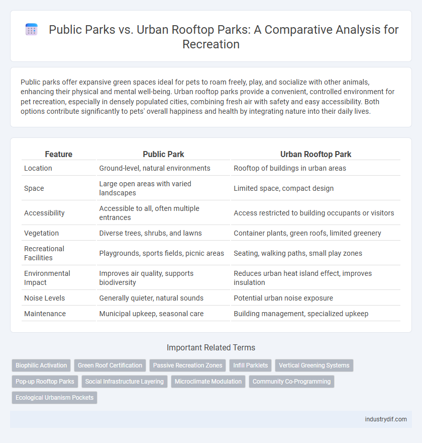 Public Parks vs. Urban Rooftop Parks: A Comparative Analysis for Recreation