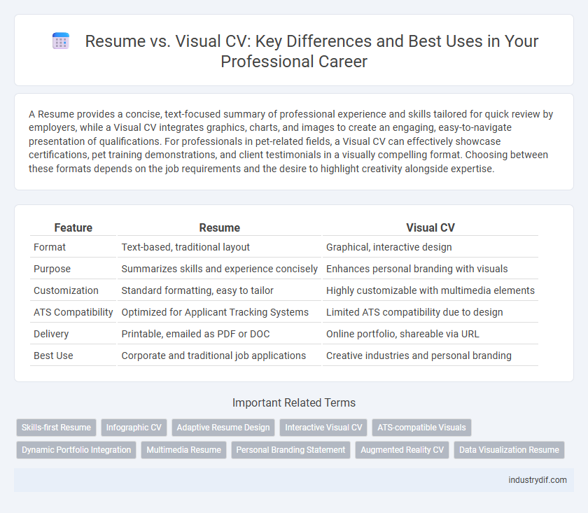 Resume vs. Visual CV: Key Differences and Best Uses in Your Professional Career