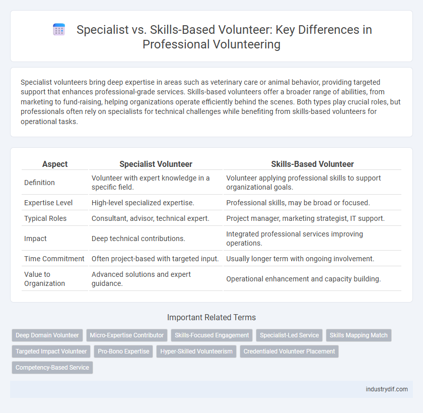 Specialist vs. Skills-Based Volunteer: Key Differences in Professional Volunteering