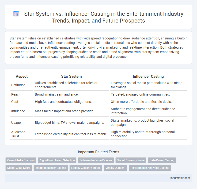 Star System vs. Influencer Casting in the Entertainment Industry: Trends, Impact, and Future Prospects