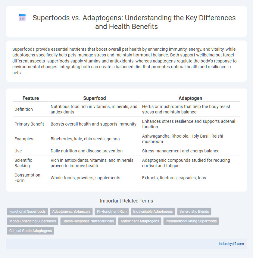 Superfoods vs. Adaptogens: Understanding the Key Differences and Health Benefits