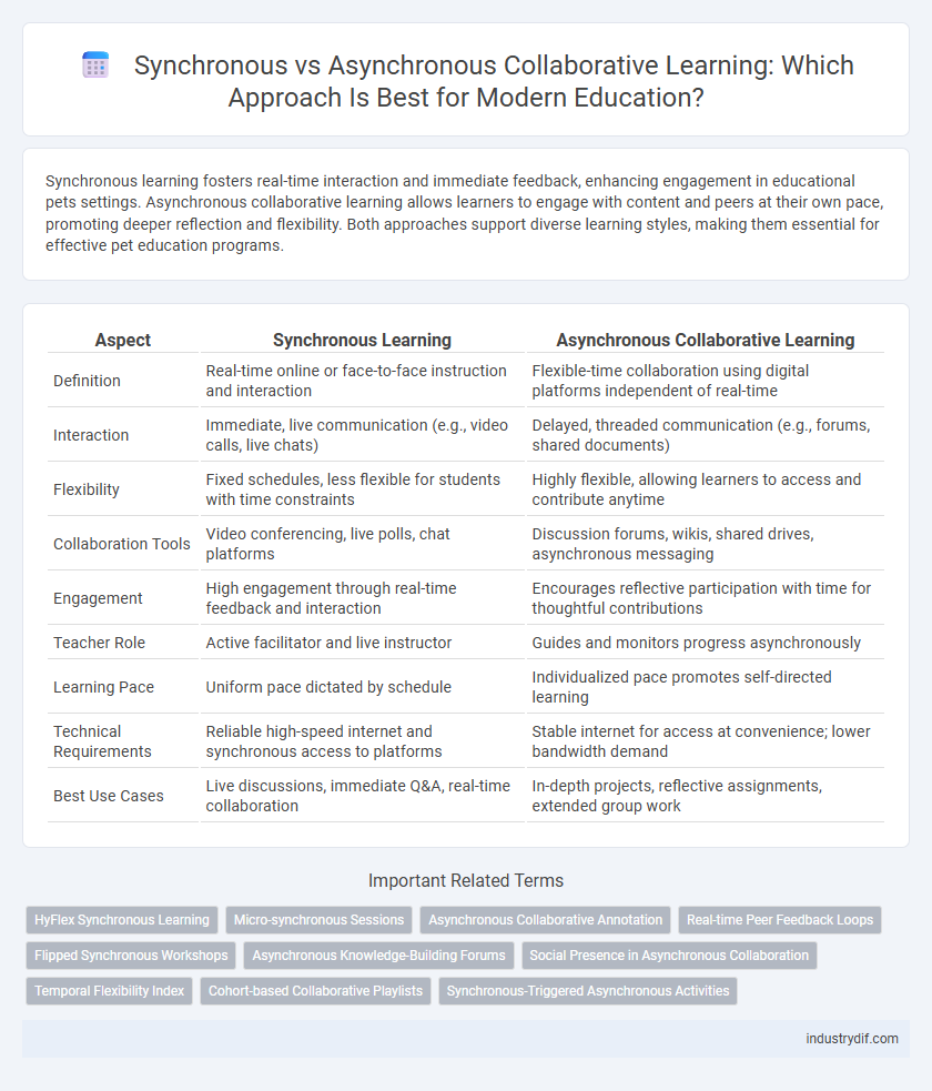 Synchronous vs Asynchronous Collaborative Learning: Which Approach Is Best for Modern Education?